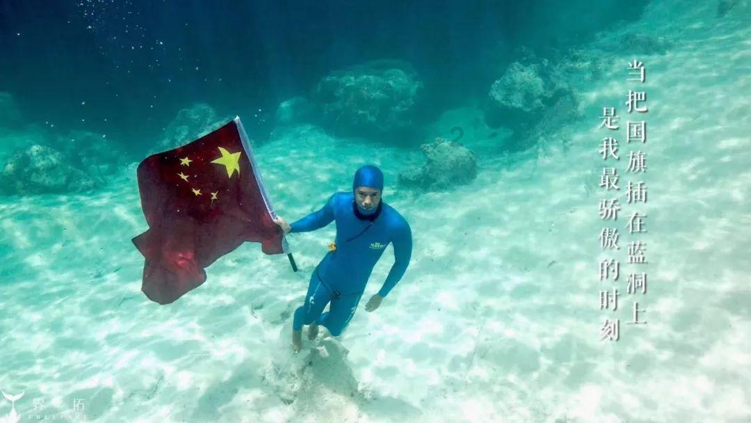 拯救机灵鸟